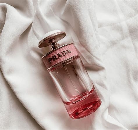 prada popular perfume